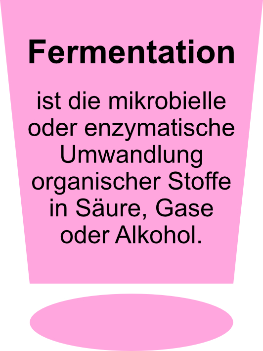 Fermentation